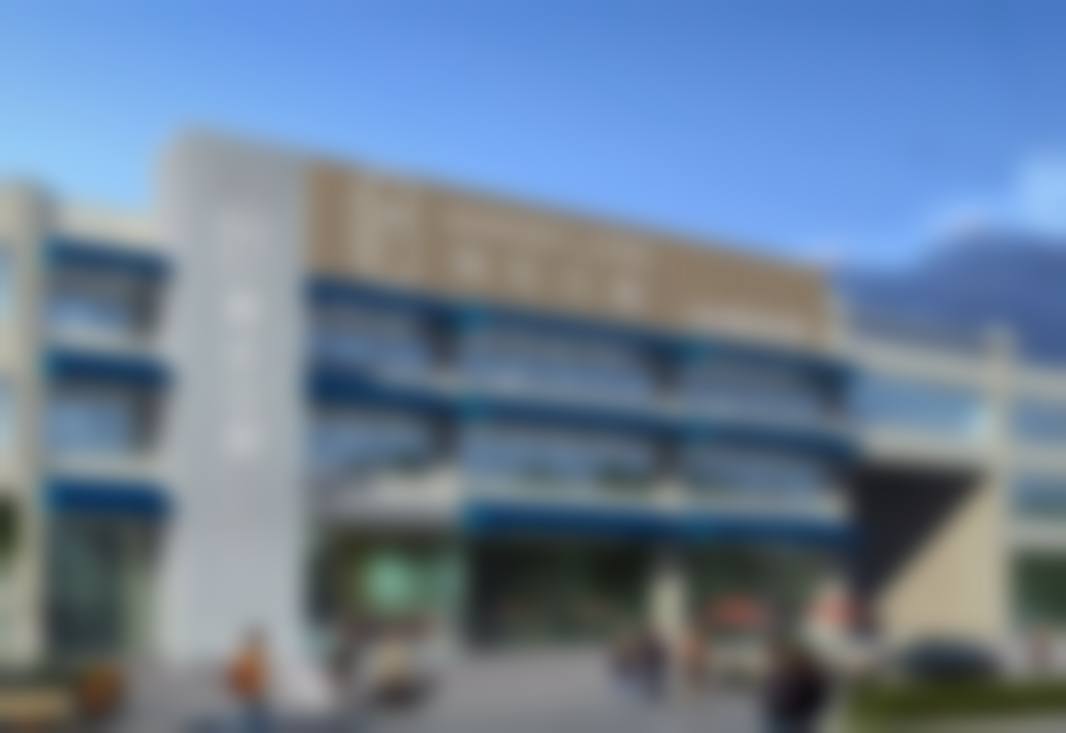 擅长项目详解