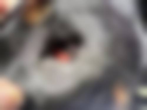 诊疗特色总结