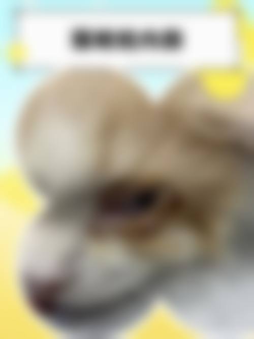 重点科室与诊疗项目