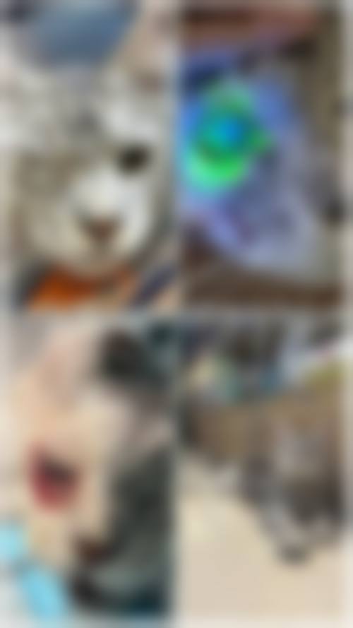 FAQ:常见问题快速解答