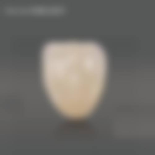 常见问题解答FAQ