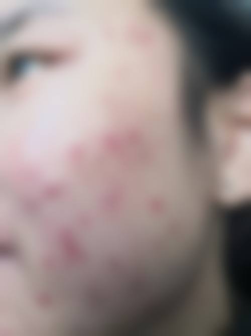 总结与预约指南