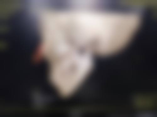 总结与预约指引