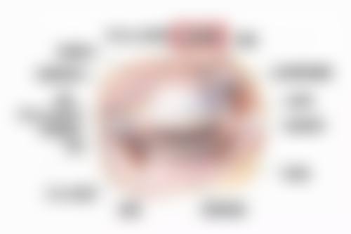 医生资质介绍