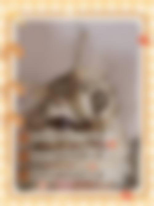 FAQ:常见疑问解答