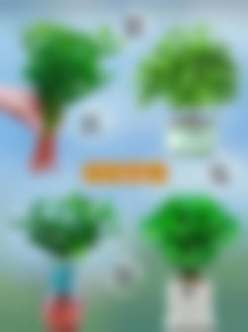 就诊指南与预约方式