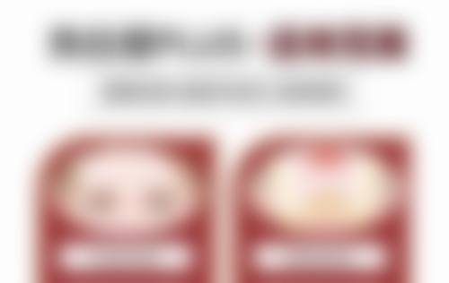 擅长项目详解