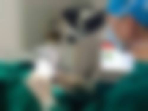 预约优惠活动