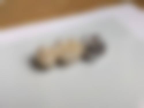 预约优惠活动:限时补贴与便捷通道