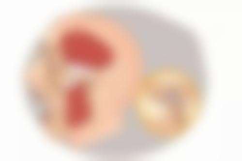 核心项目涵盖种植矫正，满足多样化需求