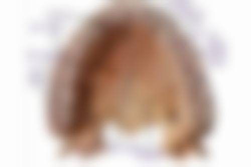 患者真实评价:口碑见证实力
