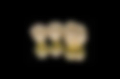 总结与预约指引