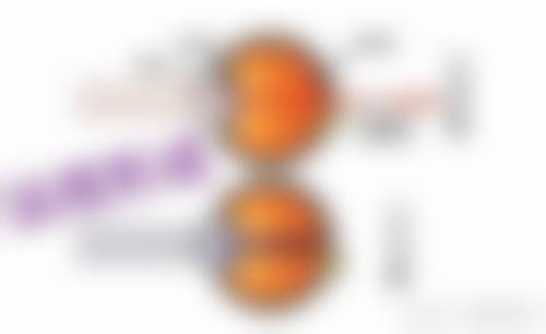 诊疗特色总结:精良设备与精细手术