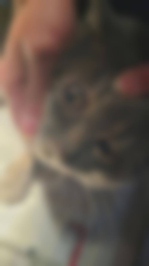诊疗特色总结