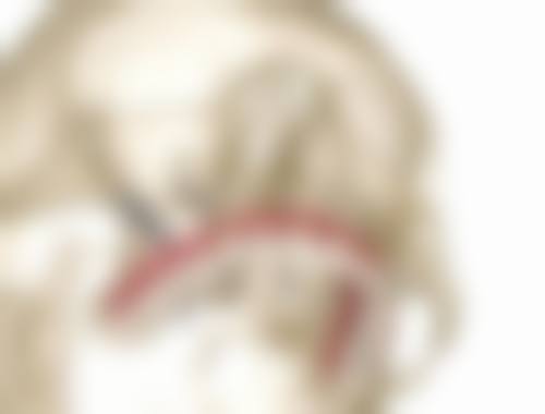 擅长项目详解