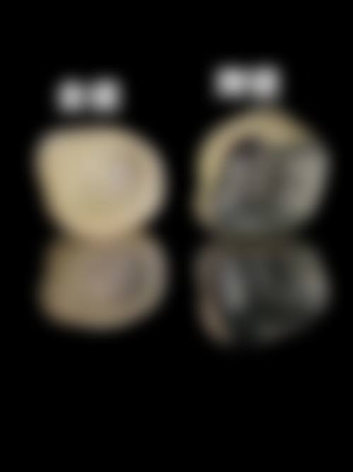 透明收费与服务体验升级