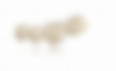 透明价格体系与优惠活动详情一览