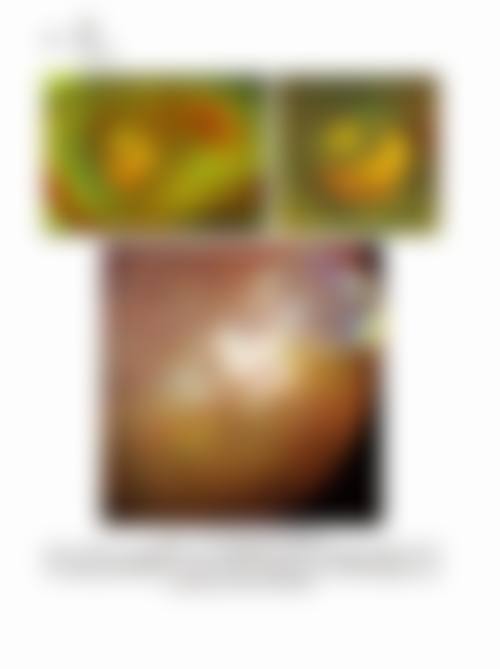 FAQ:常见疑问解答