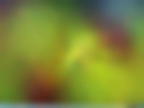 患者真实评价:口碑怎么样?