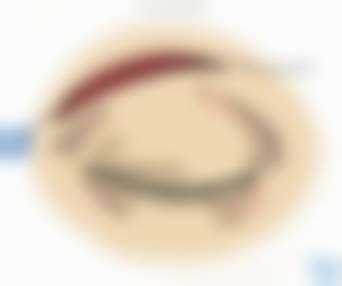 具有影响力资质与专精团队保护就医安心