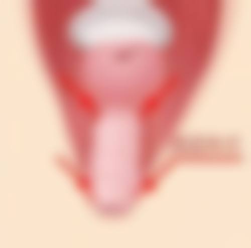 常见问题解答与便捷交通指引