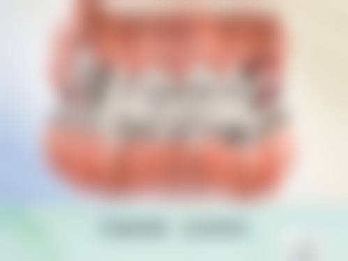 擅长项目详解