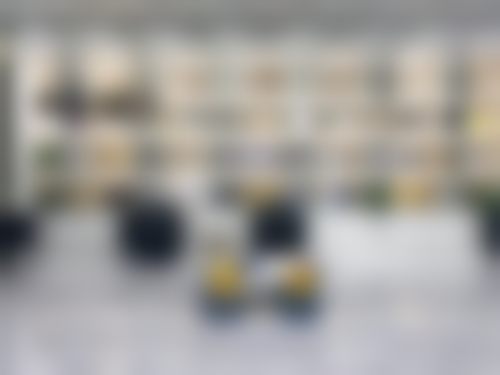 擅长项目
