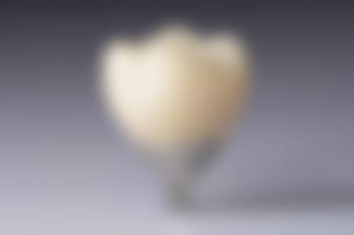 特色科室与透明价格,满足多元化看牙需求