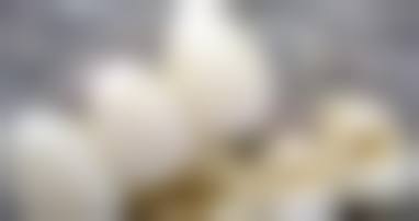 预约优惠活动:限时补贴不容错过