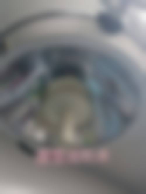 总结与预约号召