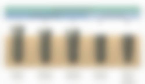 医生资质介绍:柴遥医生的专精背书