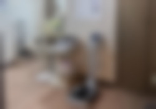 常见问题解答FAQ