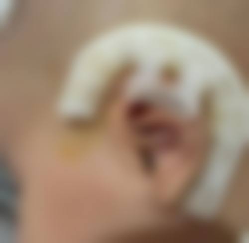 便捷预约与交通指引